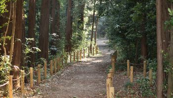 �т̏��a�i�s��J�j