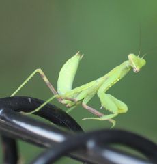 �n���r���J�}�L���i�s��J�j