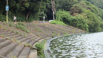 �H���|�C���g�i�]�ː�j