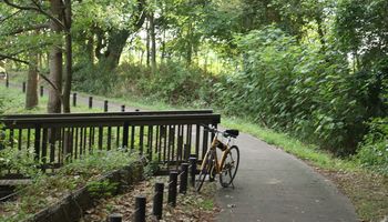 �؉A�̃|�C���g�i�����j