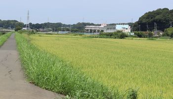 �c��ځi�O����j