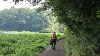 �Ζʗщ��̖؉A�i�ÊԖ؁j