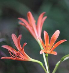 �L�c�l�m�J�~�\���i�s��J�j