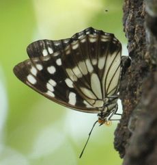 �S�}�_���`���E�i�����j