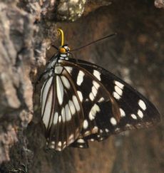 �S�}�_���`���E�i�����j