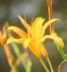 �m�J���]�E�i�����j