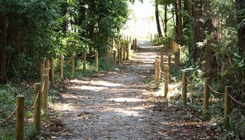 �т̗V�����i�s��J�j