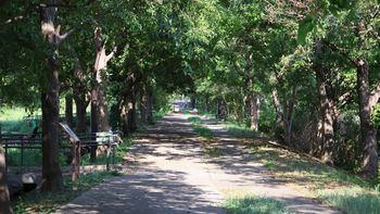 �������̕��؁i�����j