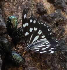 �S�}�_���`���E�i�����j