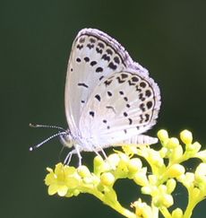 ���}�g�V�W�~�i�����j