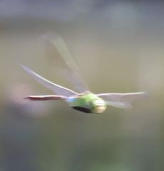 �M�������}���āi�����j