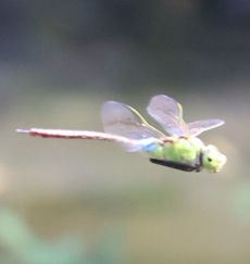 �M�������}���āi�����j