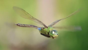 �M�������}���āi�����j