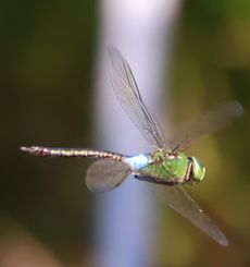 �M�������}���āi�����j