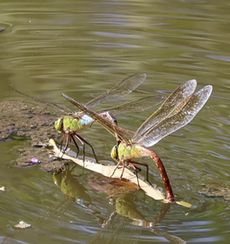 �M�������}�Y���i�����j