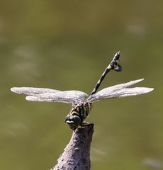 �E�`�������}�i�����j