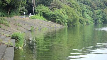 �H���|�C���g�i�]�ː�j