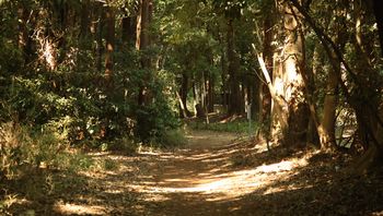 �т̓��i�s��J�j