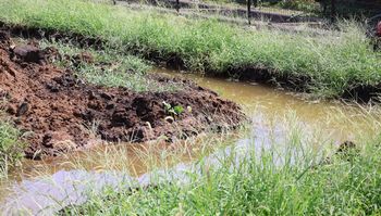 �������̓c�ށi��X���j