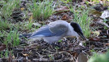 �I�i�K�c���i�����j