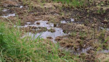 �c��ڂ̐����܂�i�O����j