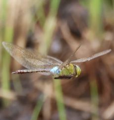 �M�������}�����āi�O����j