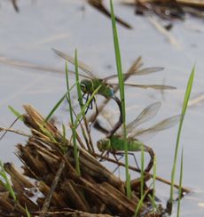 �M�������}�A���Y���i�O����j