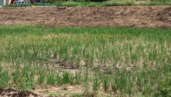 �O����c��ځi�x�m��j