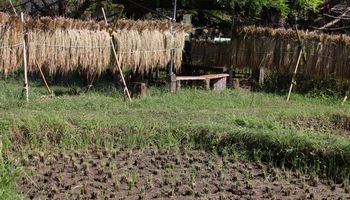 �������̓c�ށi���ؓ��j