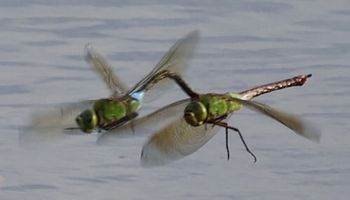 �M�������}�Y�����āi�����j