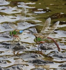 �M�������}�Y���i�����j