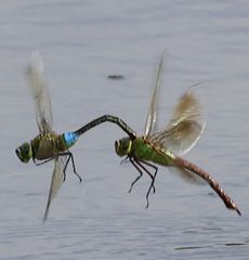 �M�������}���āi�����j