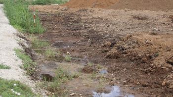 �����n�e�i�ÊԖ؁j