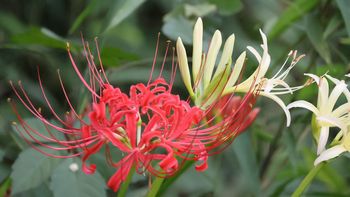 �q�K���o�i�i���j�����j