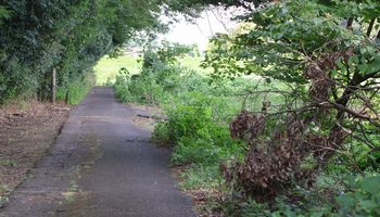 �Ζʗјe�i�ÊԖ؁j