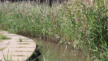 �r�ƈ����i���j�����j