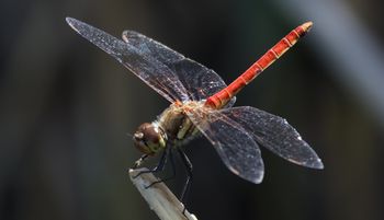 �A�L�A�J�l���i���j�����j