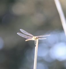 �A�L�A�J�l�i���j�����j