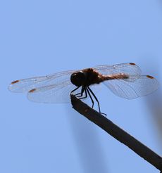 �A�L�A�J�l�i���j�����j