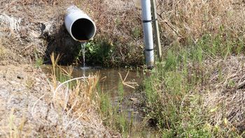 ���e�̐��H�i�O����j