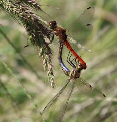 �A�L�A�J�l����i�O����j