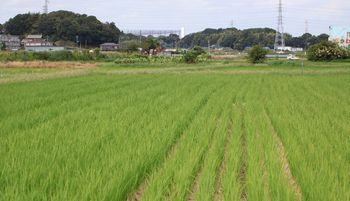 �O����c��ځi�O����j