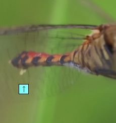 ���i�O����j