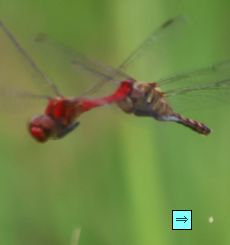 ���i�O����j