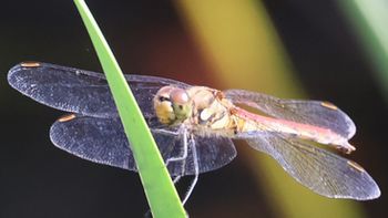 �A�L�A�J�l���i�V���r�j