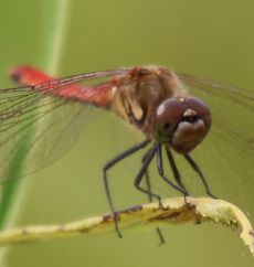 �A�L�A�J�l���i�V���r�j