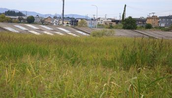 �V���r�i�X�j