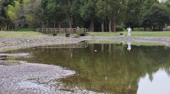 ���ӂ̍L��i�����j