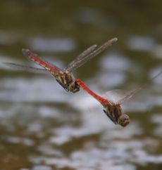 �A�L�A�J�l�Y���i�����j