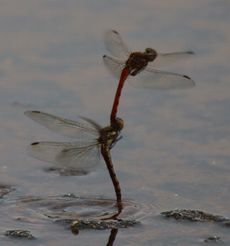 �A�L�A�J�l�Y���i�����j